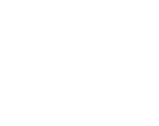 iron labs